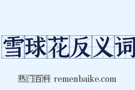 雪球花反义词是什么意思的图片